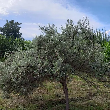 Casa Grazia Dell'imperio Vicino A Taormina Sicilia Nyaraló Calatabiano